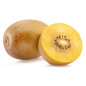 KIWI JAUNE JINGOLD 30PCS